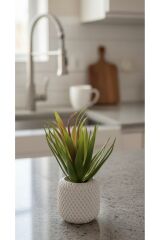 Avrupa Tarzı Yapay Saksılı Dekoratif Şık Çiçek Kaktüs- Ofis Banyo Salon ,tek Adet