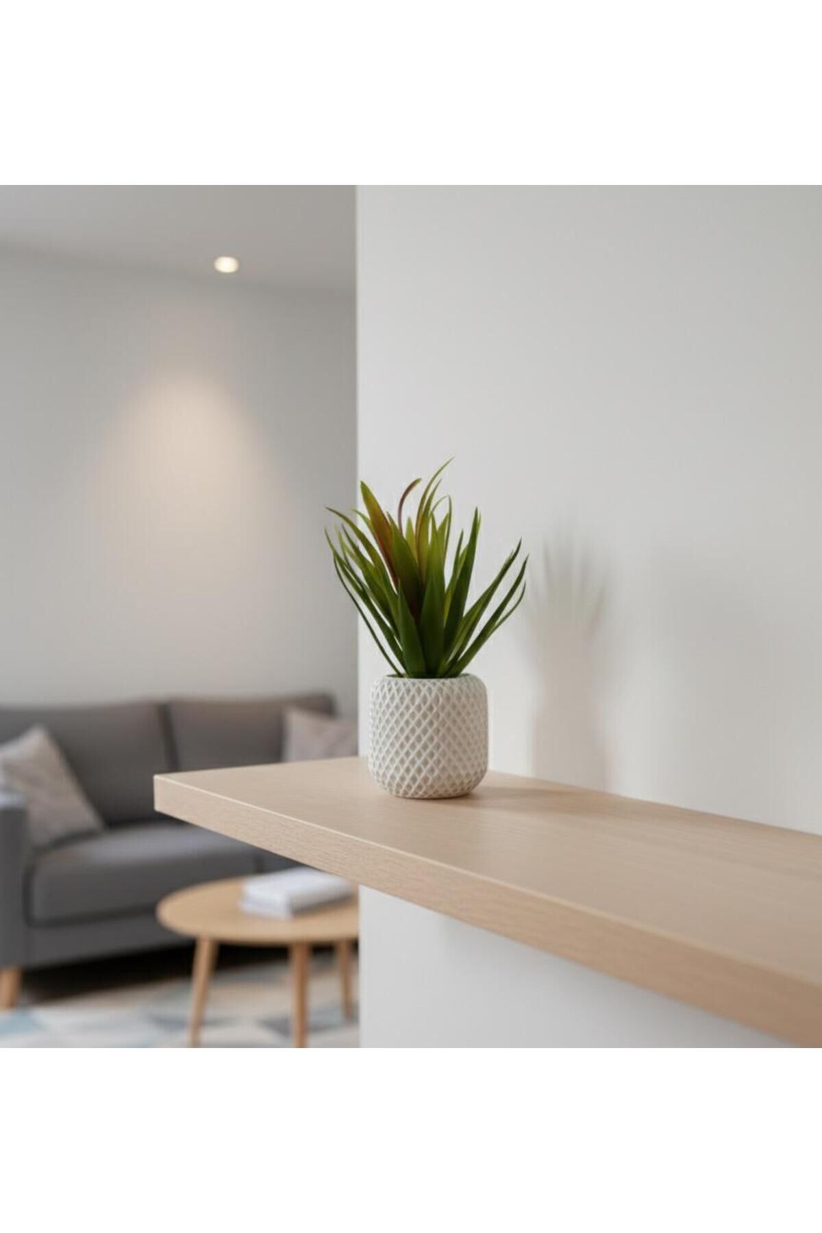 Avrupa Tarzı Yapay Saksılı Dekoratif Şık Çiçek Kaktüs- Ofis Banyo Salon ,tek Adet