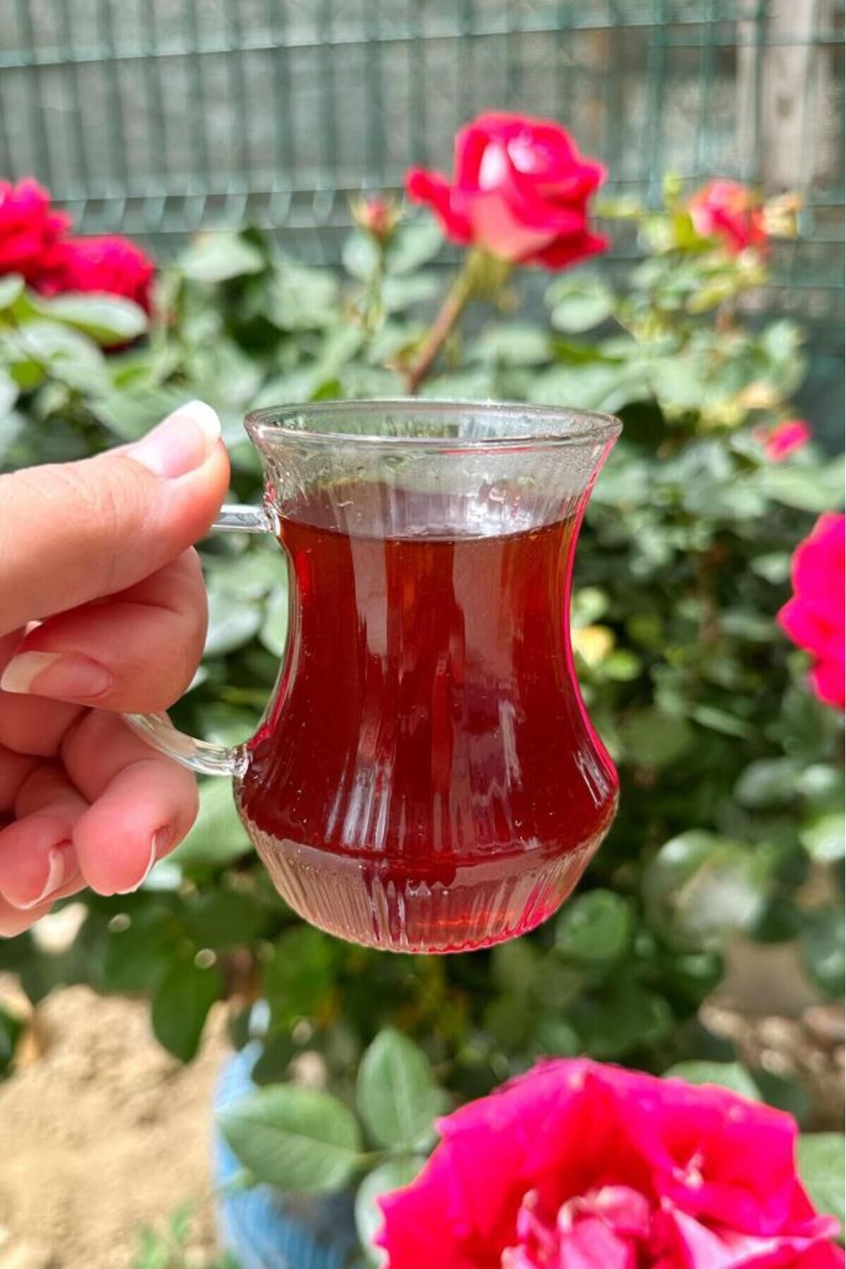 Mien 6 Kişilik Borosilikat Çizgili Cam Çay Bardağı Çay Bardağı